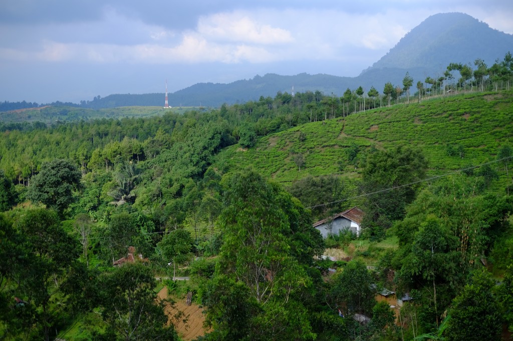 Indonesia hills