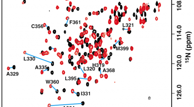 Figure 1. 1H-15N 2D spectrum of BPV-1 E2 DBD (310-410). Resonances of the DNA-bound protein (red) show chemical shift differences relative to the DNA-free sample (black) (taken from Veeraraghavan et al. Biochemistry (1999) 38: 16115-16124).