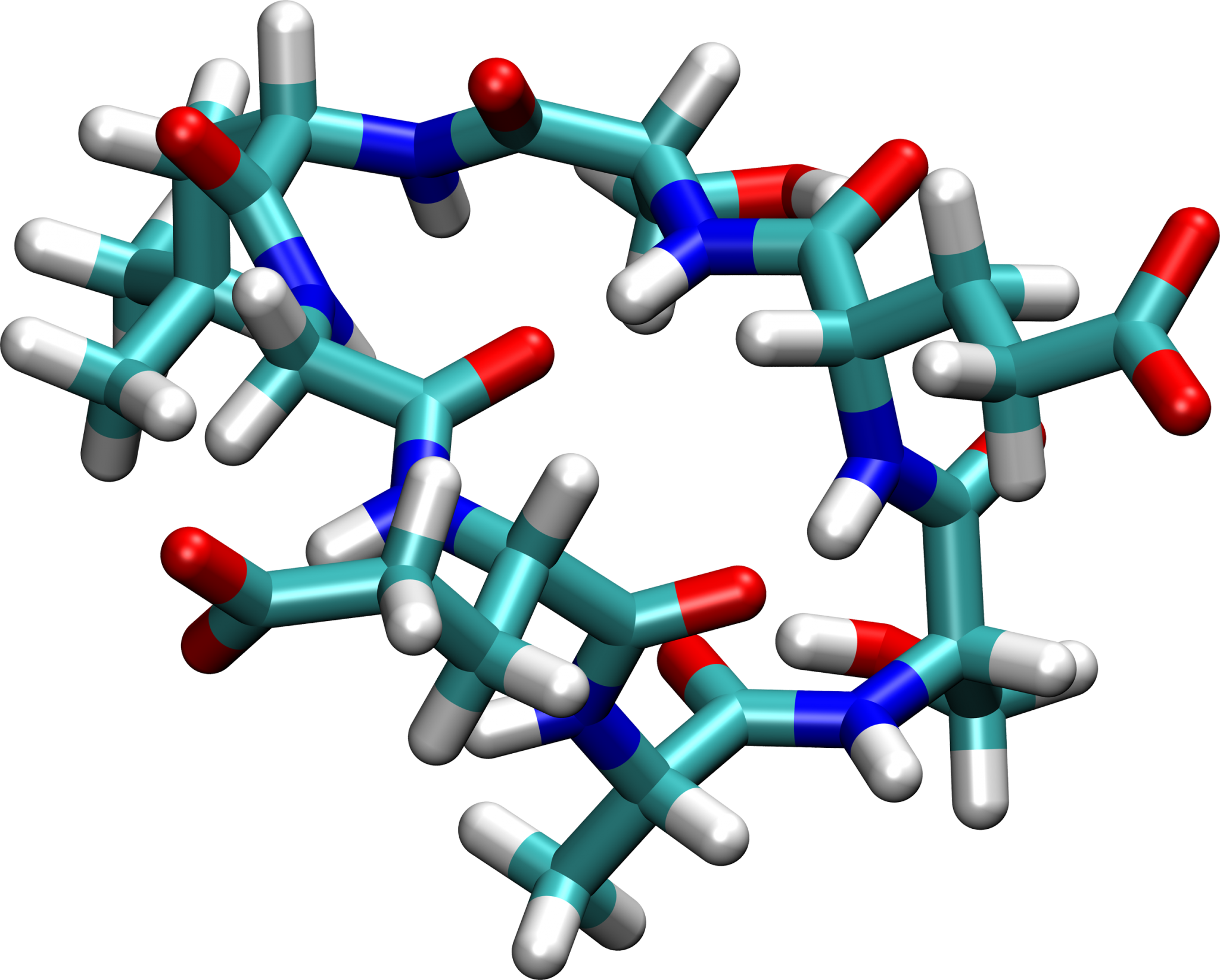 Cyclic Peptides Ysl Lab