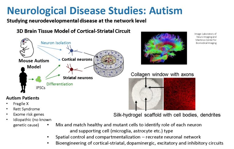 Autism – Initiative For Neural Science, Disease & Engineering