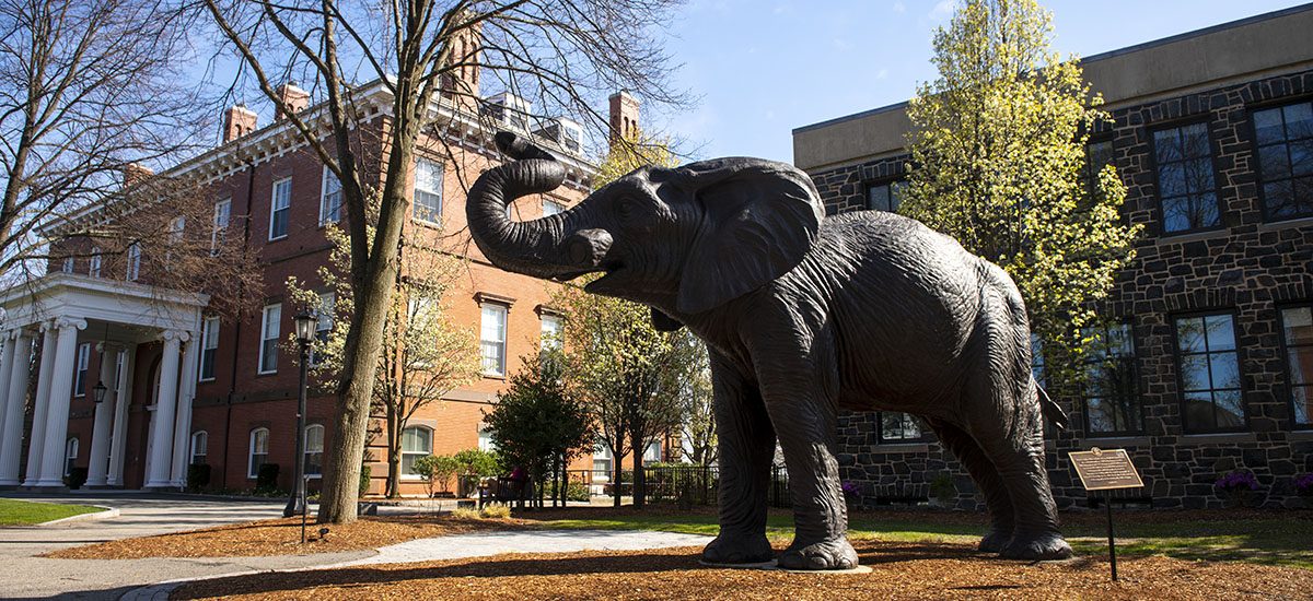 Tufts AI Resource Hub