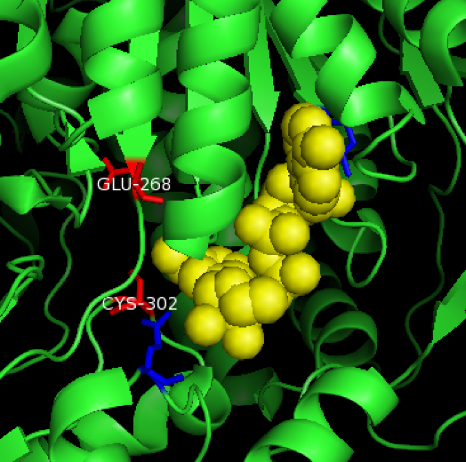 Aldehyde Dehydrogenase – Alcohol Metabolism