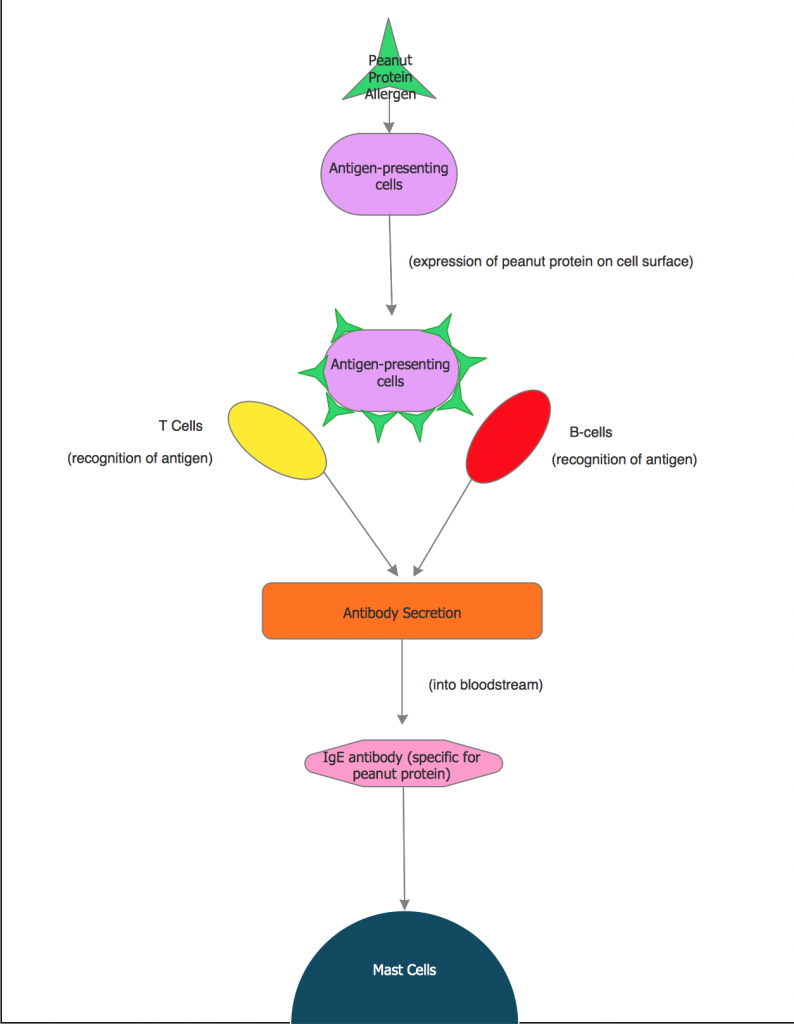 The Biochemical Pathway The Molecular Basis Of Allergies