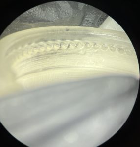 Microscopy image of 3D printed petri dish holder. Focused on one side of inside circumference and ventilation holes that line petri dish holder inside. 