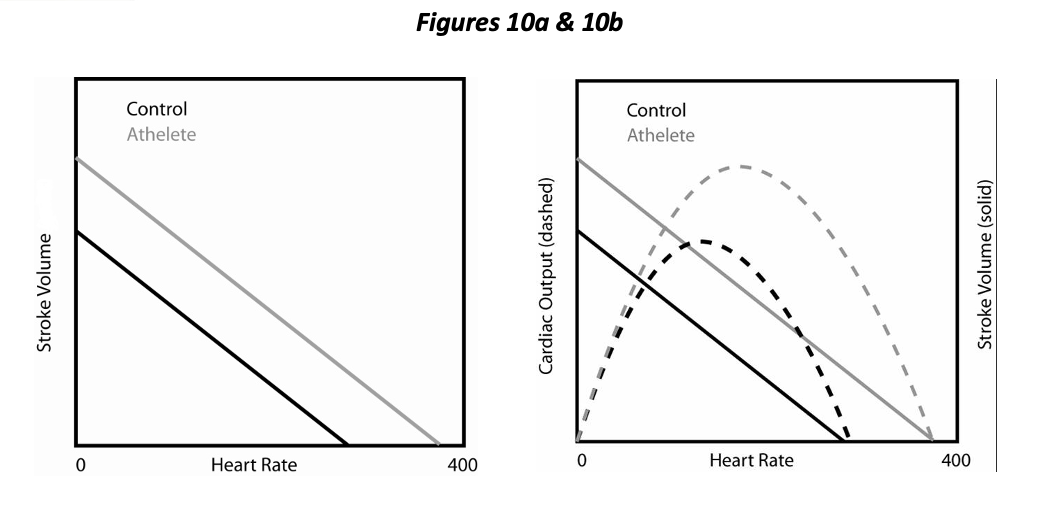 Determinants of Cardiac Performance - CardioRush