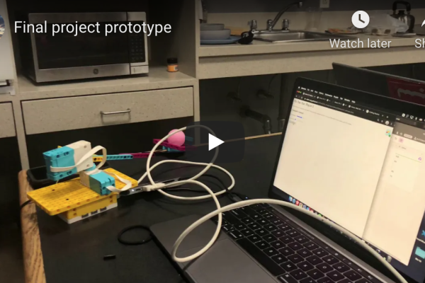 Simple Robotics (EN1) Final Projects