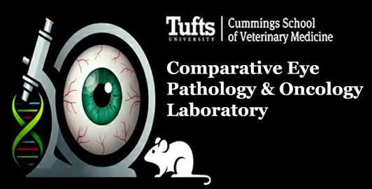 Comparative Eye Pathology & Oncology Laboratory