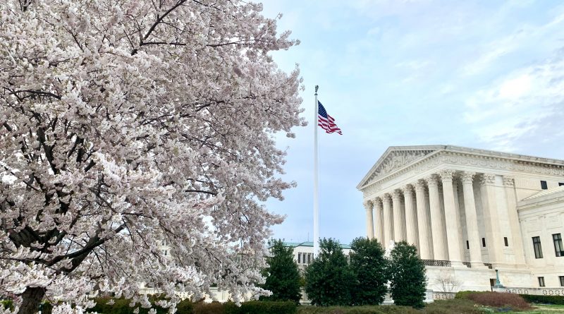 Picture of US Supreme Court Building with blossoming cherry tree