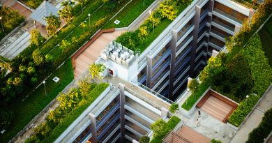 Green trees are located on top of urban buildings.