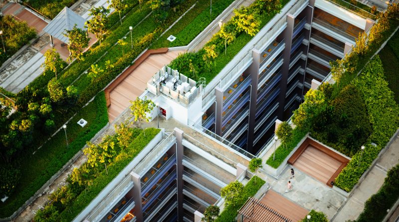 Green trees are located on top of urban buildings.