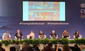 Photo of Bill Moomaw speaking on a panel with 6 other people at COP 25