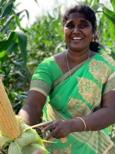 Usha stands in a cornfield holding out a shucked ear of corn towards the camera. She is smiling