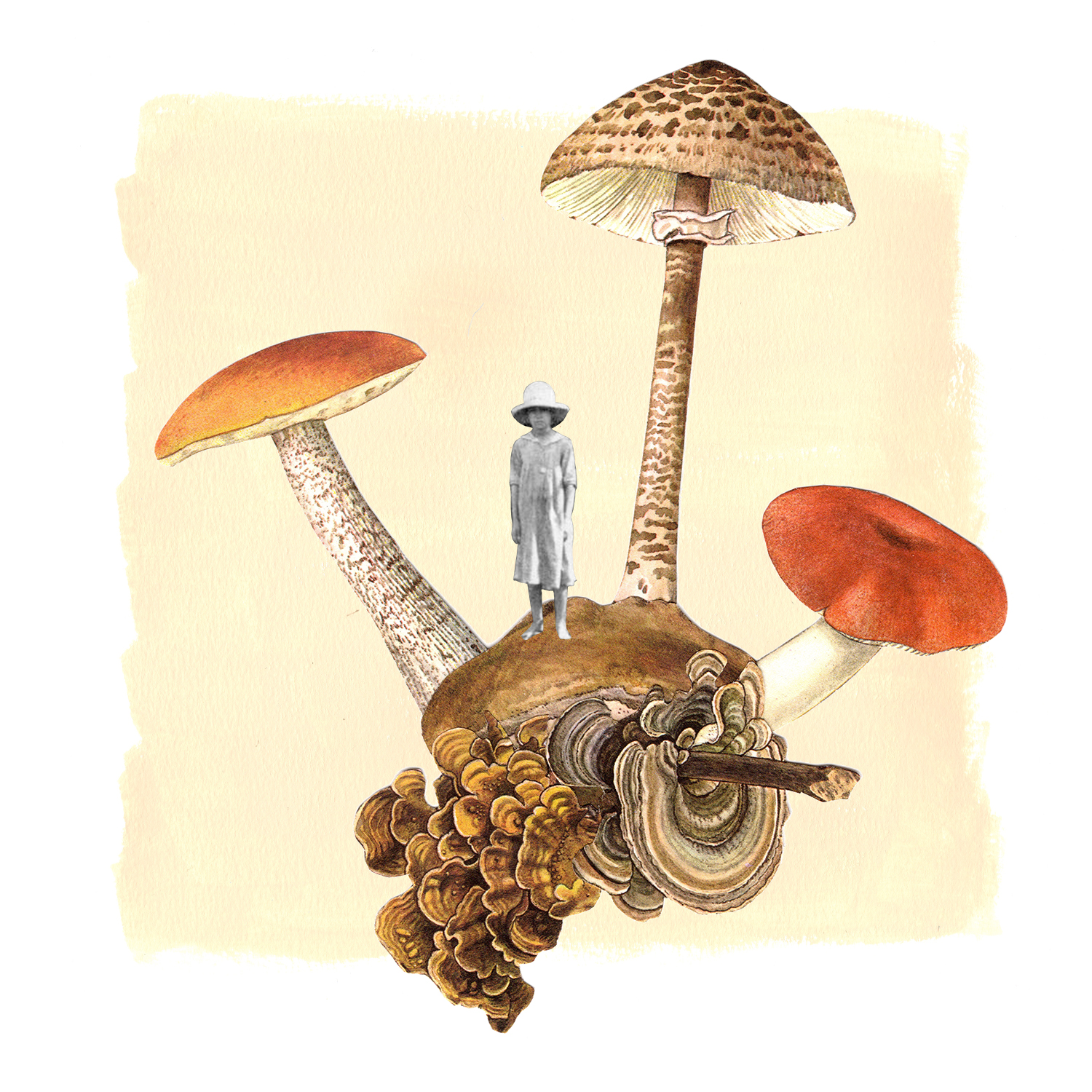 Mushroom Girl - Illustration by Ellen Dubreuil