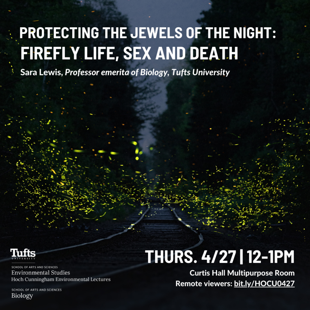 Protecting the Jewels of the Night: Firefly Life, Sex and Death | Dept of  Education Opportunities