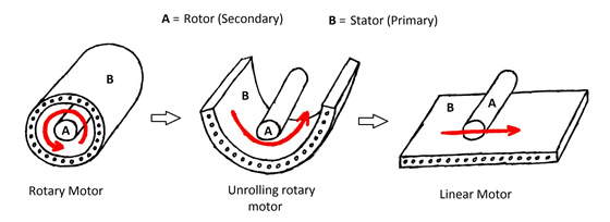 Force analysis of the floating magnet.