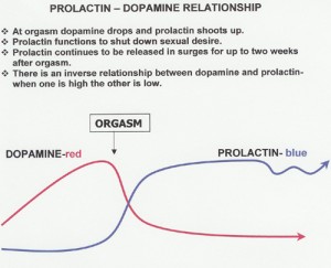 prolactin
