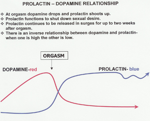 Postcoital Neurochemistry The Blues and the Highs Emotion