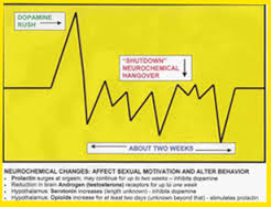 Postcoital Neurochemistry The Blues and the Highs Emotion