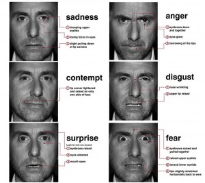 Am I in trouble? Interpreting facial expressions – Emotion, Brain ...