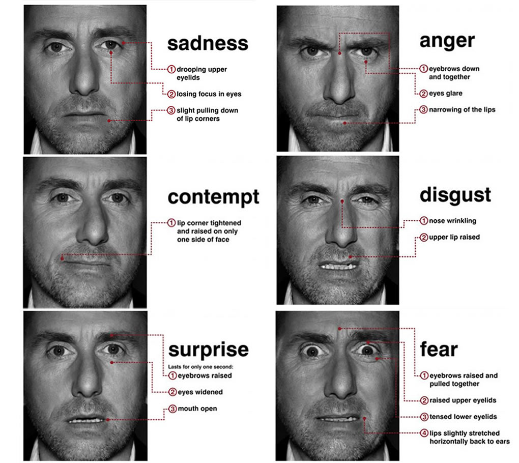 Interpreting Facial Expressions   LieToMe 