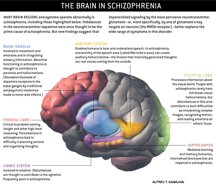 schizophrenia evom