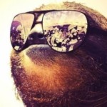Profile picture of Jacob Santos-Marques