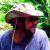 Profile picture of Jose Mazzotti