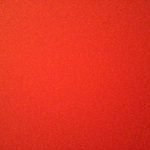 Profile picture of Nico Edwards