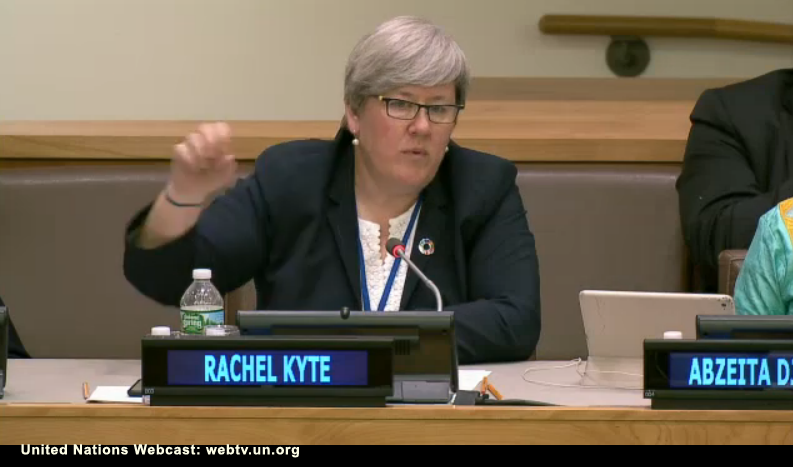 Professor Rachel Kyte, F02, speaking before a UN panel on climate change.