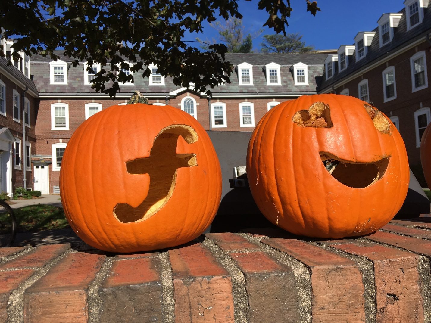 Jack-o-lanterns