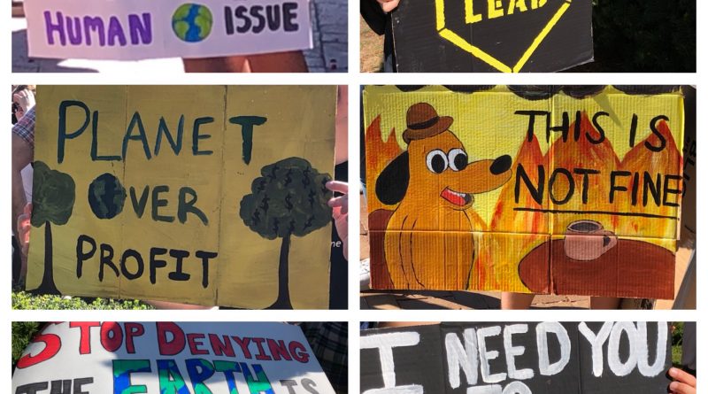 climate strike signs