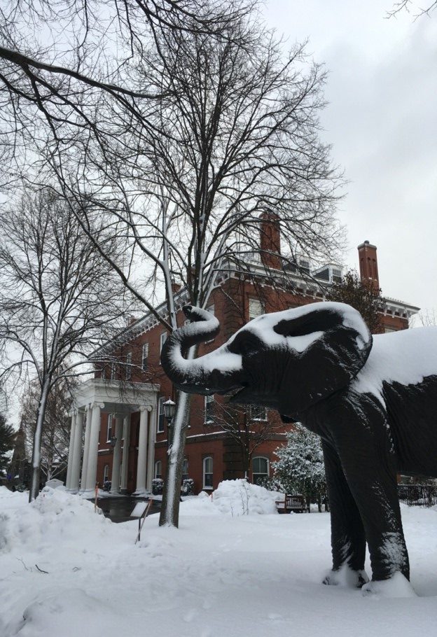 snow-covered Jumbo statue