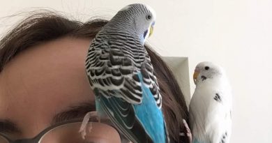 Rita and her birds