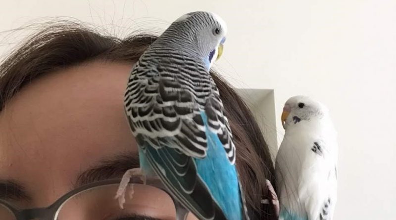 Rita and her birds