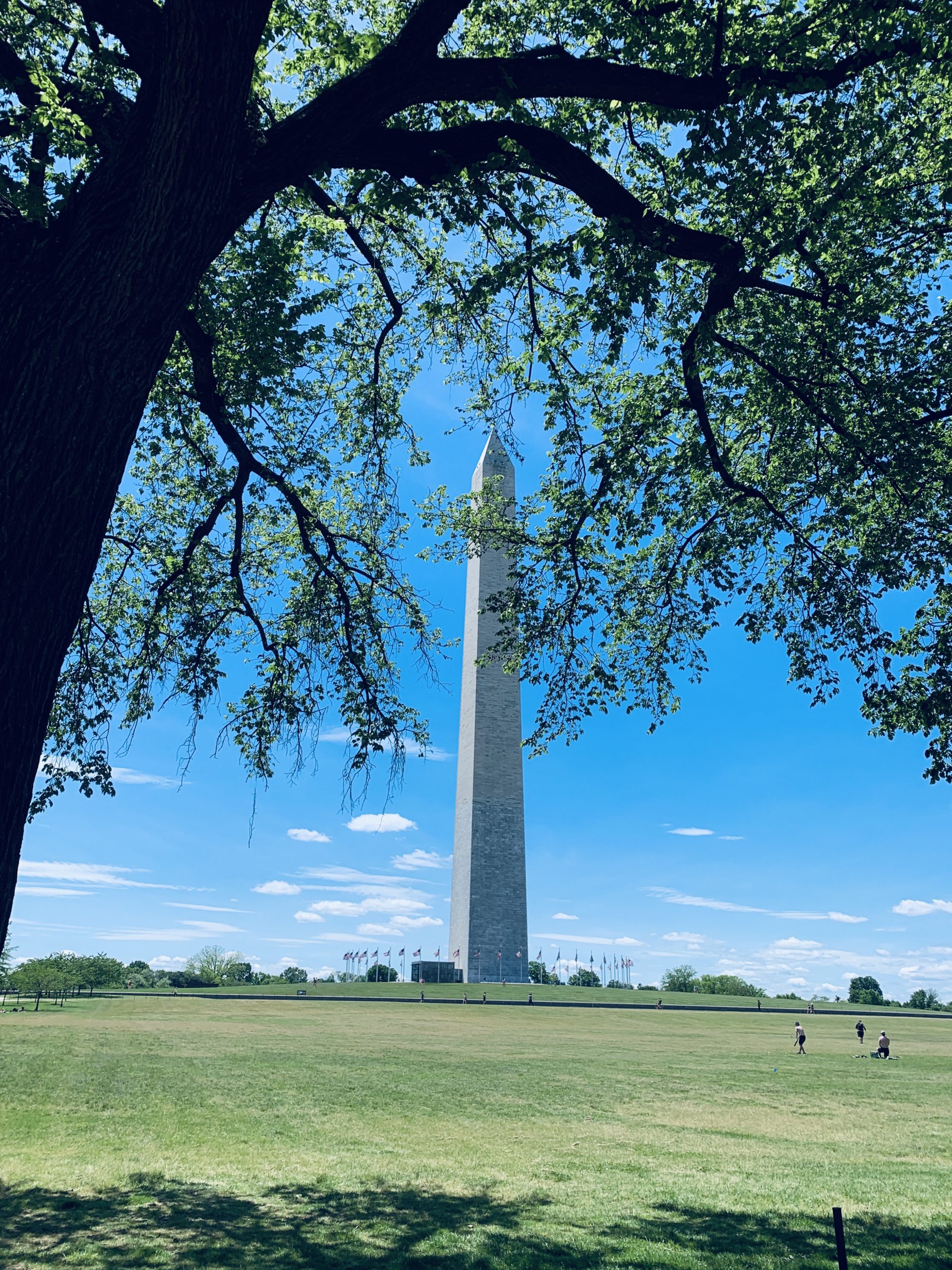 Washington Monument