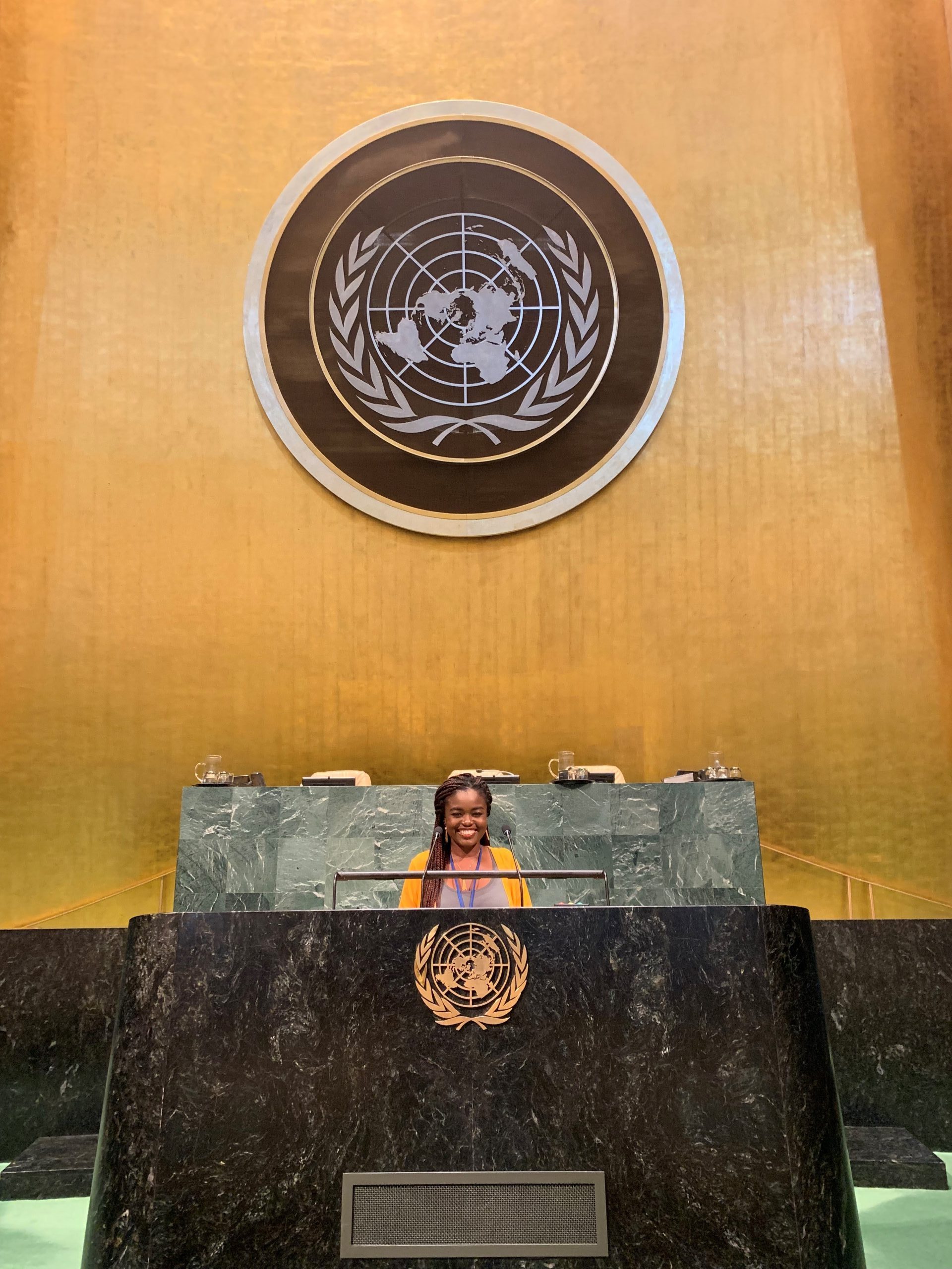 Princess at the UN