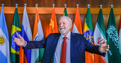 BRICS in Transition