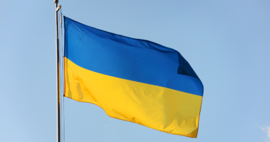 Ukraine Flag