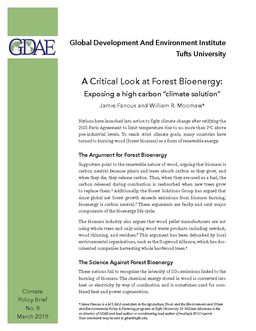 Climate Policy Briefs Global Development And Environment Institute 21-sustainability-examples-2025
