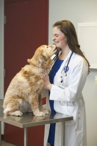 a veterinarian being kissed by a small dog on an exam table.