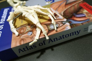 bones and book