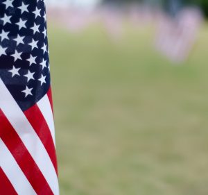 An American flag in the foreground of a blurred field of flags planted in the ground.