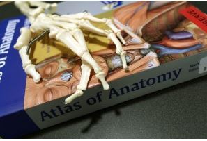 skeleton hand on top of book