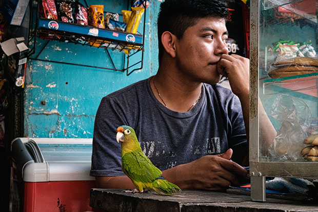 Man sitting in a store front with a green parrot in front of him.
