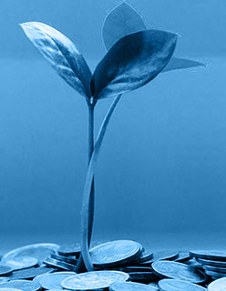 Small plant growing out of a pile of coins.