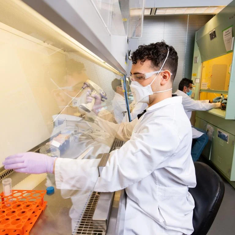 Kaplan lab researcher passages cells