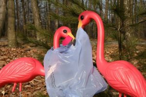two plastic flamingos with a plastic bag caught on them
