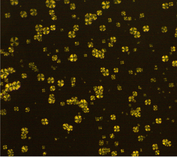 Pvdf Crystal Spherulite Growth Cebe Research Group