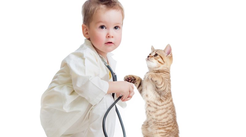 Child playing doctor with kitten