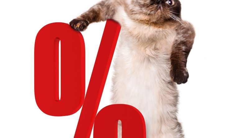 Cat with percent sign